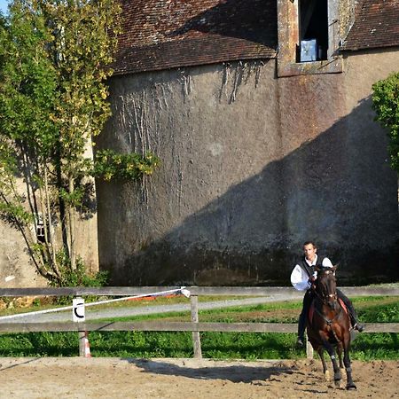 Chateau Des Noces Bazoges-en-Pareds Dış mekan fotoğraf